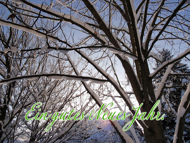 Zum Neuen Jahr 04