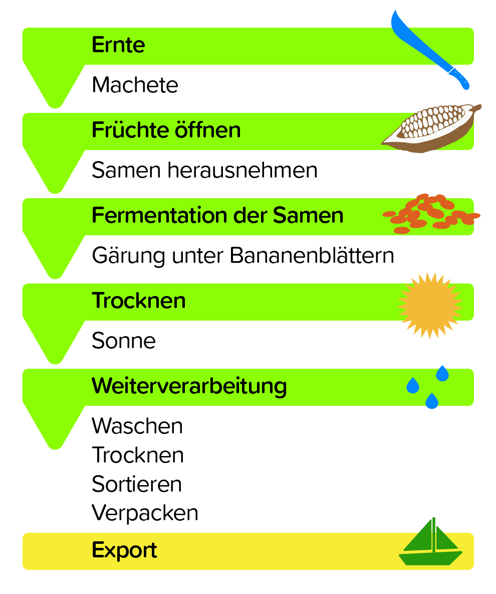 Die Kakaoverarbeitung im Erzeugerland.
