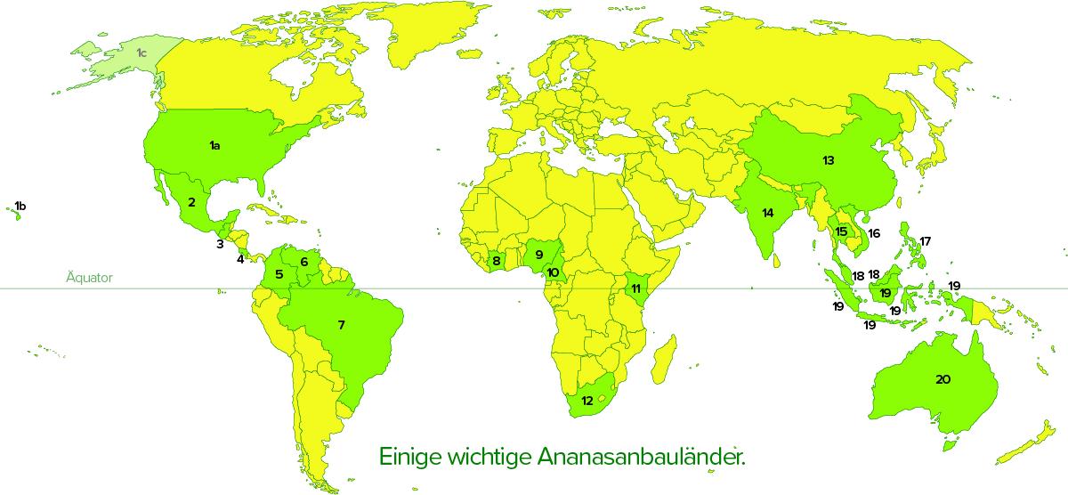 Ananas-Anbauländer.