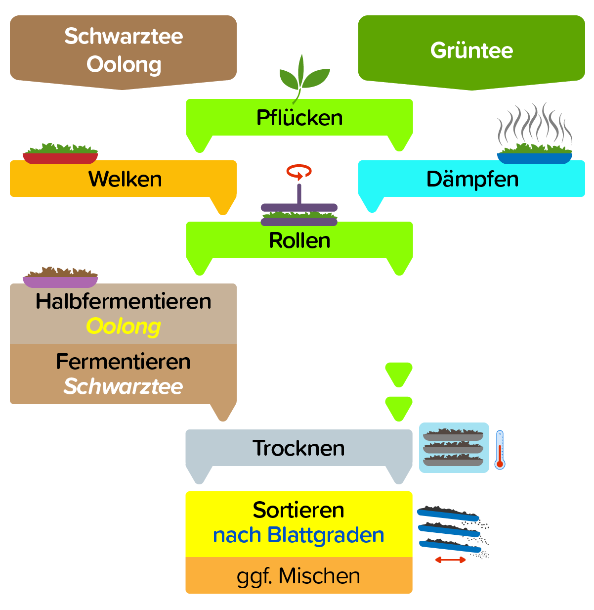 Die Teeverarbeitung.