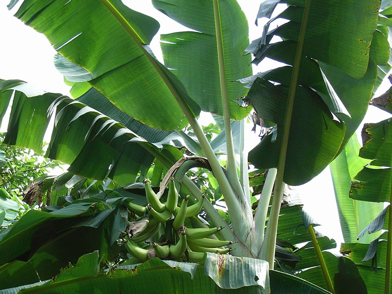 Bildzoom schließen Bildzoom schließen