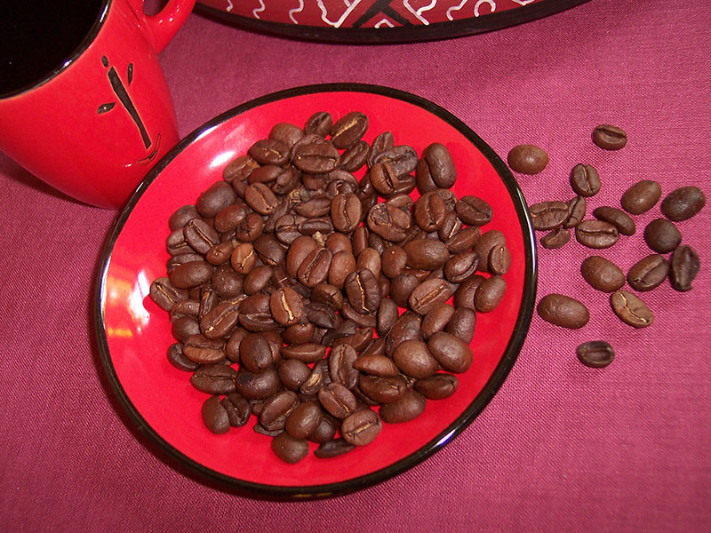 Bildzoom schließen Bildzoom schließen