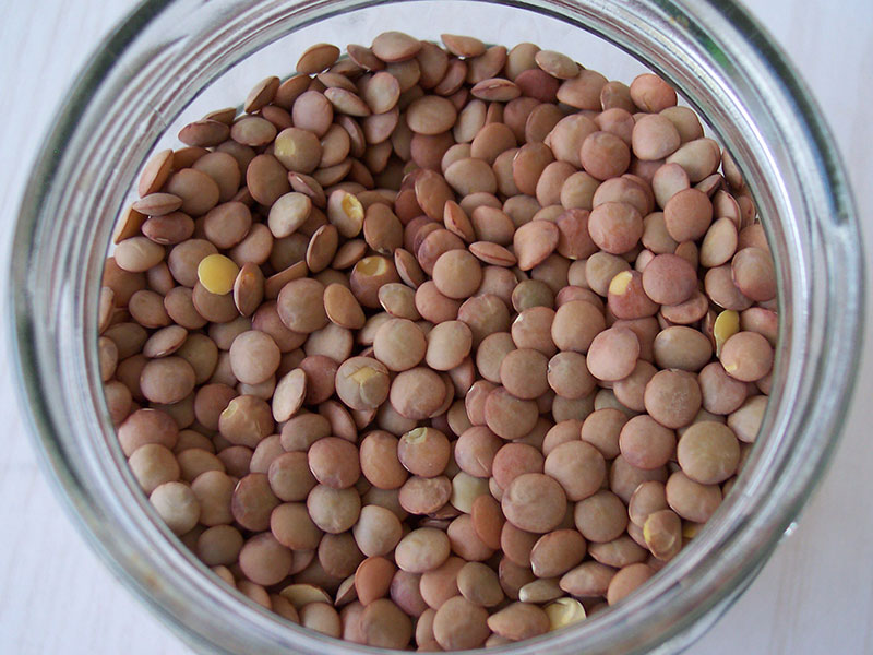 Braune Linsen.