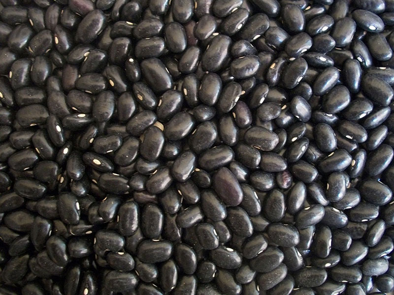 Schwarze Bohnen.
