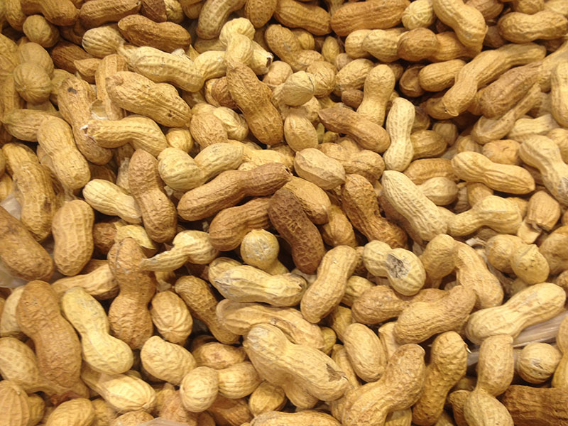Erdnüsse.