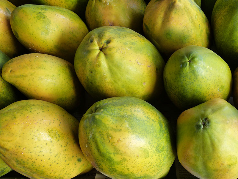 Papaya.
