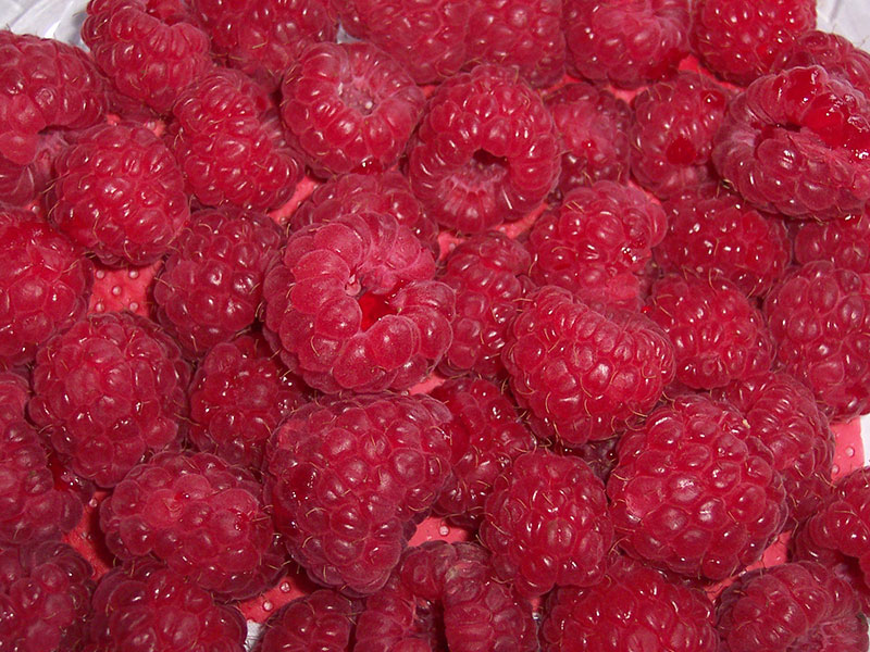 Himbeeren.