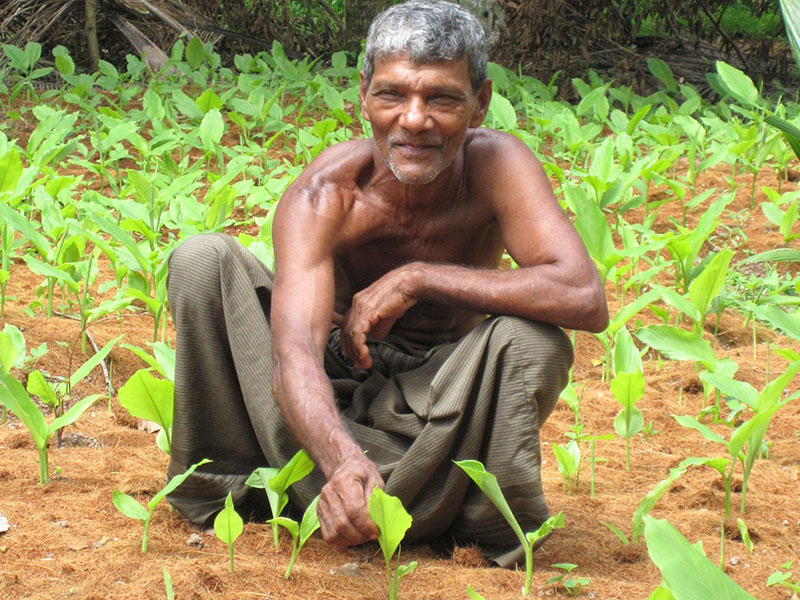 Bildzoom schließen Bildzoom schließen