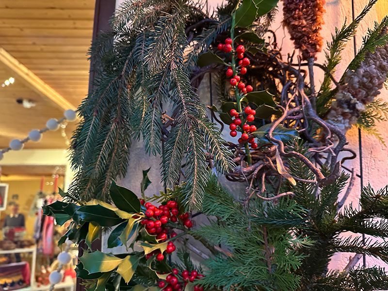 Neues aus unserem Eine Welt Laden.