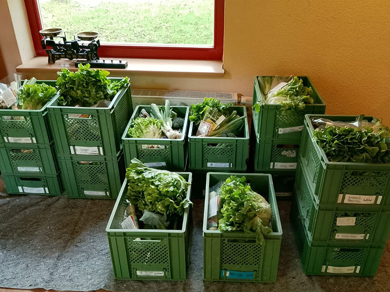 Gemüsekisten vom Ender Hof Vierkirchen.