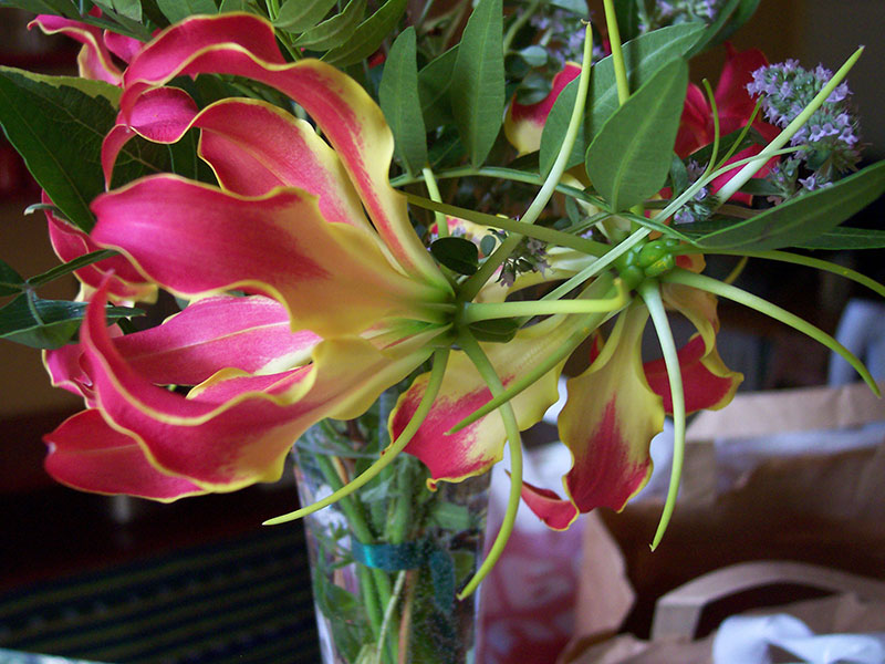 Interner Homepagebereich nur für Vereinsmitglieder.