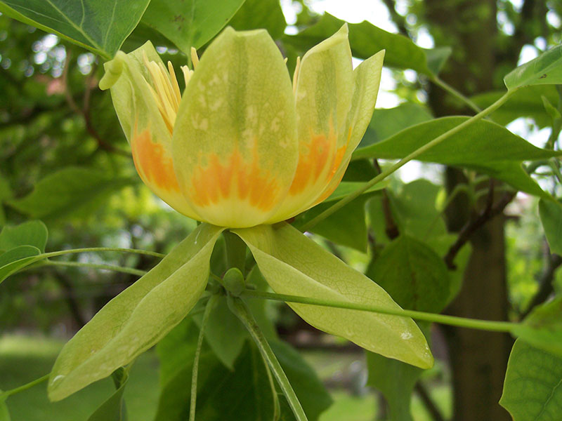 Im Einklang mit der Natur.